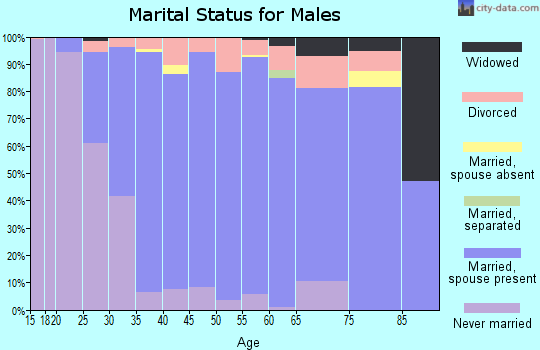 Zip code 55123 marital status for males