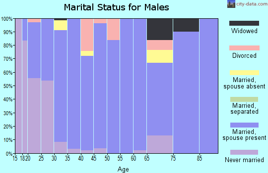Zip code 55301 marital status for males