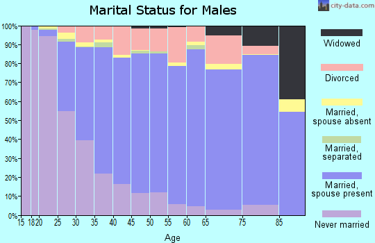 Zip code 55303 marital status for males