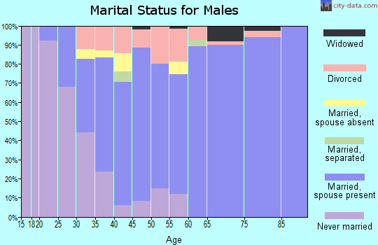 Zip code 55306 marital status for males
