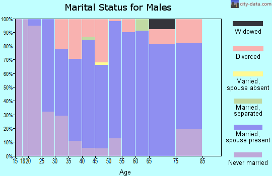 Zip code 55308 marital status for males