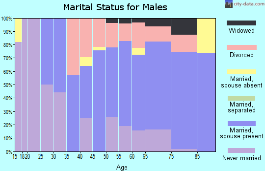 Zip code 55310 marital status for males