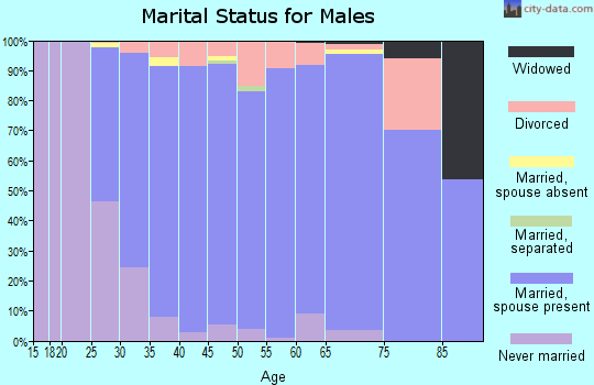 Zip code 55311 marital status for males
