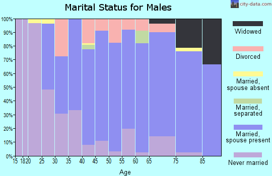 Zip code 55312 marital status for males
