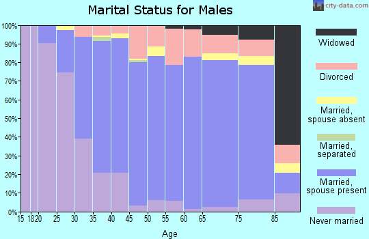 Zip code 55313 marital status for males