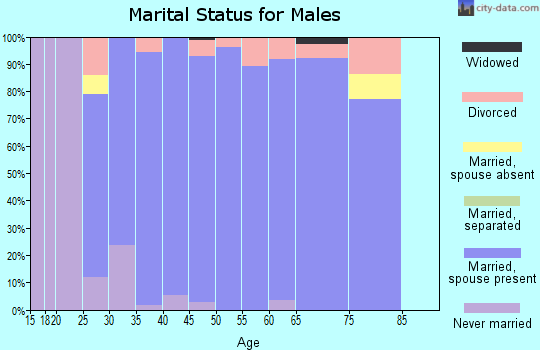Zip code 55315 marital status for males