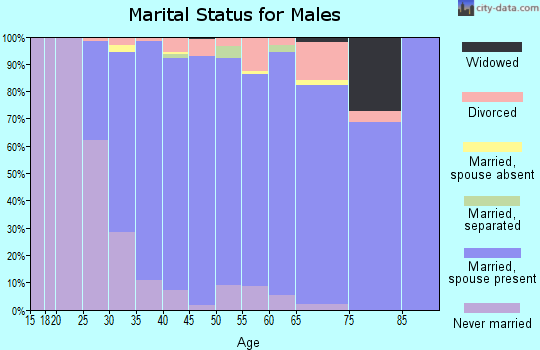 Zip code 55317 marital status for males