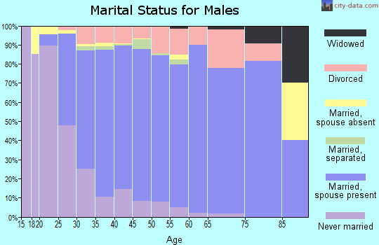 Zip code 55318 marital status for males