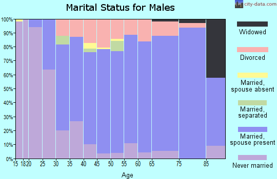Zip code 55320 marital status for males