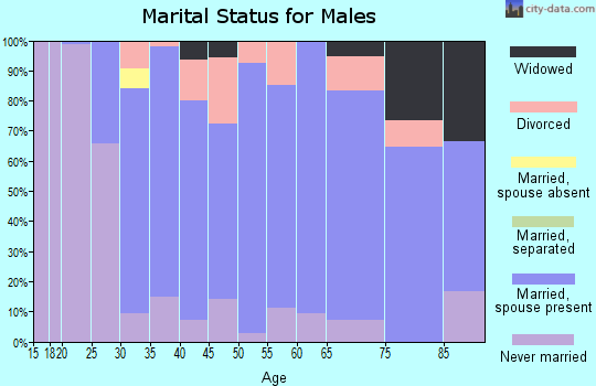 Zip code 55322 marital status for males