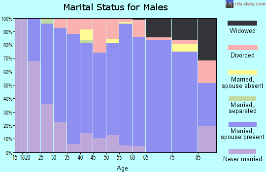 Zip code 55325 marital status for males