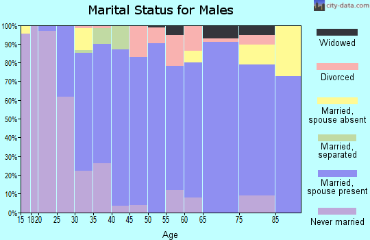 Zip code 55328 marital status for males