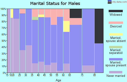 Zip code 55329 marital status for males