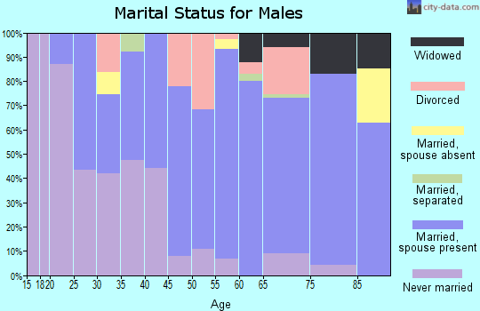 Zip code 55332 marital status for males