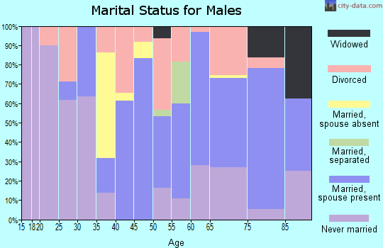 Zip code 55333 marital status for males