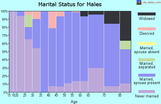Zip code 55335 marital status for males