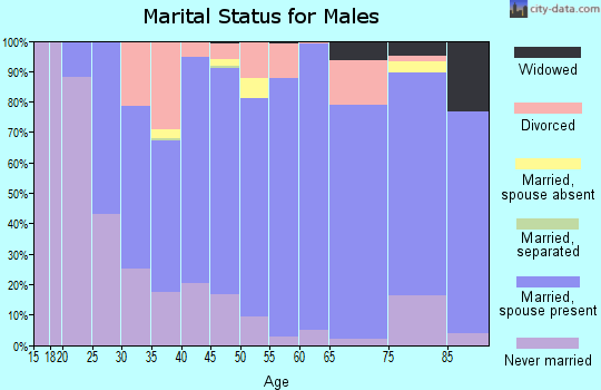 Zip code 55336 marital status for males