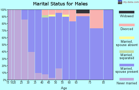 Zip code 55340 marital status for males
