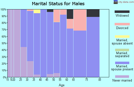 Zip code 55341 marital status for males