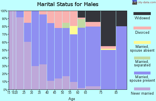 Zip code 55342 marital status for males