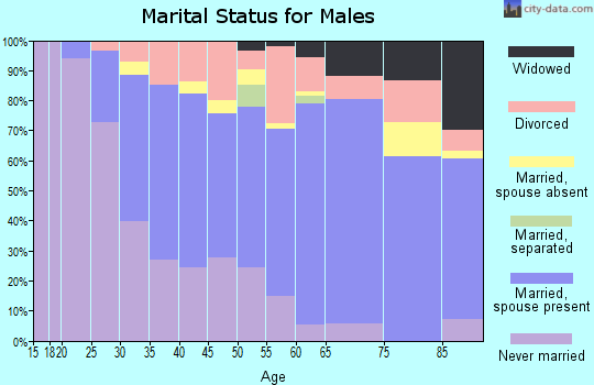 Zip code 55343 marital status for males