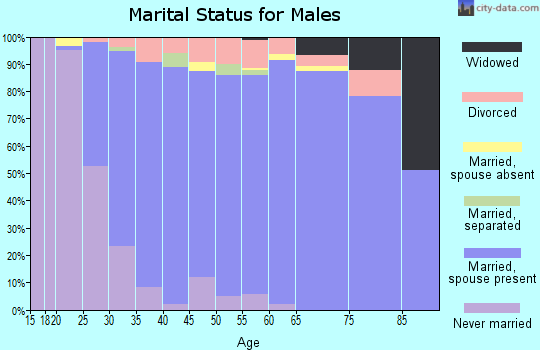 Zip code 55346 marital status for males