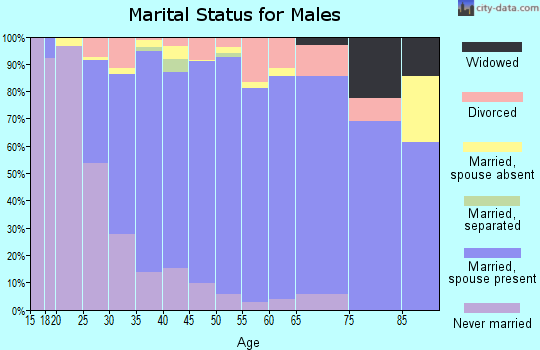Zip code 55347 marital status for males