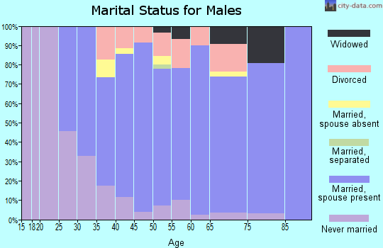 Zip code 55353 marital status for males
