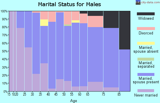 Zip code 55354 marital status for males