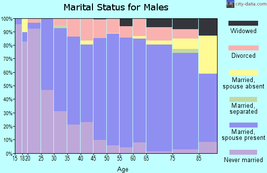 Zip code 55355 marital status for males