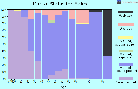 Zip code 55356 marital status for males
