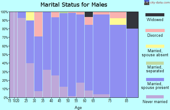Zip code 55357 marital status for males