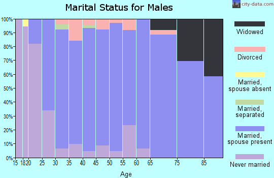 Zip code 55360 marital status for males