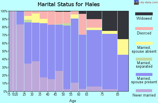 Zip code 55362 marital status for males