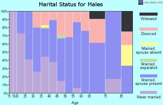 Zip code 55363 marital status for males