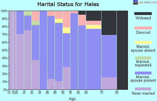 Zip code 55367 marital status for males
