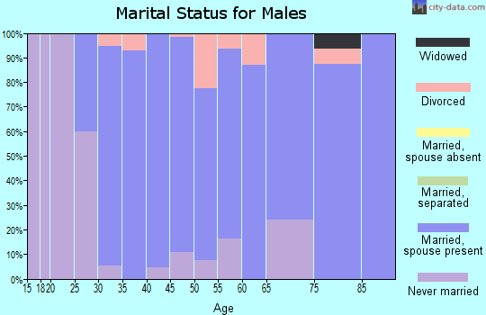 Zip code 55370 marital status for males