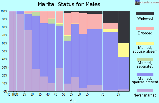 Zip code 55371 marital status for males