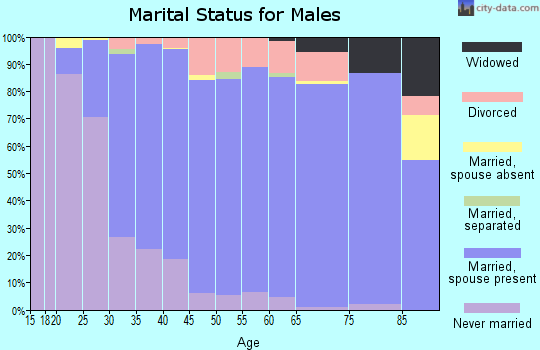 Zip code 55372 marital status for males