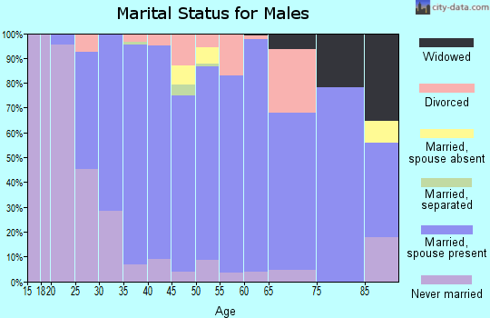Zip code 55374 marital status for males