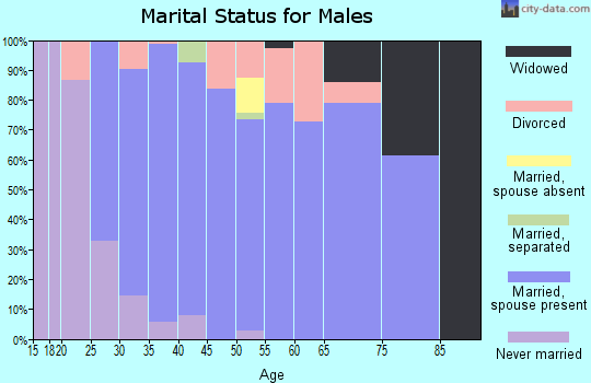 Zip code 55375 marital status for males