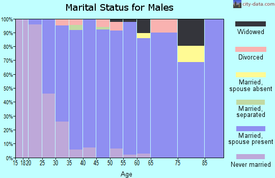 Zip code 55376 marital status for males