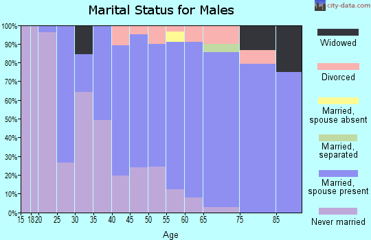 Zip code 55381 marital status for males