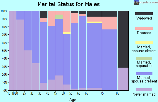 Zip code 55382 marital status for males