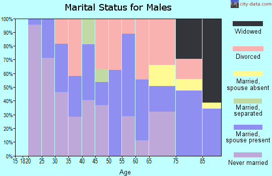 Zip code 55384 marital status for males