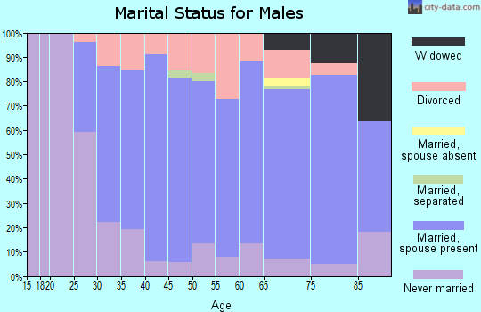 Zip code 55385 marital status for males