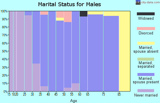Zip code 55386 marital status for males