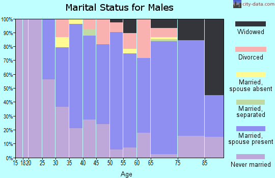 Zip code 55389 marital status for males