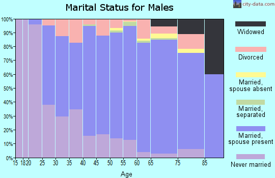 Zip code 55391 marital status for males