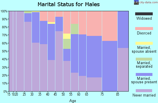 Zip code 55401 marital status for males